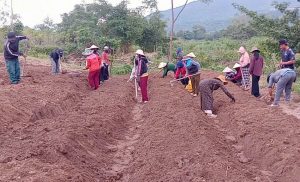 Nông dân xã Vĩnh Quang hăng hái học kỹ thuật trồng rau an toàn